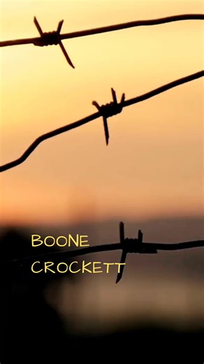 This Town Don’t Hold You… It Cuts You | Barbed Wire Town