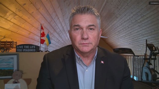 Canada's new defence plan adds 'political bureaucracy': Conservative MP