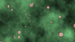 Download COVID 19 Coronavirus 2D Animation. Dangerous pandemic virus cell close up under microscope. for free