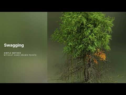 SpeedTree 10 Vines Unity