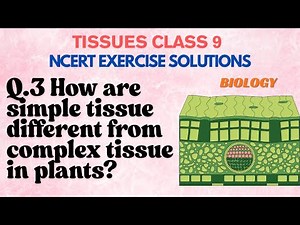 How are simple tissue different from complex tissue in plants?