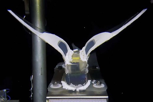 A submersible soft robot survived the pressure in the Mariana trench