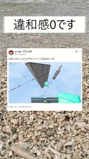 [Minecraft] 音源の途中で僕(sa-nigo)の声を入れても違和感ない説wwwwwwwwww #マイクラ #minecraft #マイクラアスレ