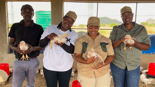 Meet the team behind our beautiful chickens 🐥🐣🍗🐔 | The New Dawn Poultry Farm
