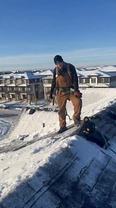 Bucky Beaver on Reels