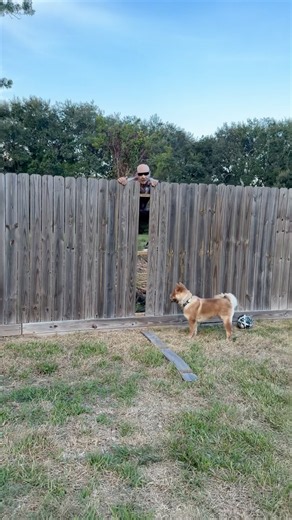Creepy guy tried to jump out gate #shorts