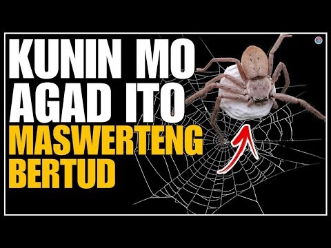 BAKA NAKAKAKITA KA NG MGA BAGAY NA ITO KUNIN MO AGAD MABISA PALANG BERTUD, MUTYA AT MGA PAMPASWERTE
