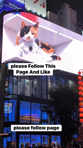 🐱 Giant 3D Cat Takes Over Tokyo Streets! #Shinjuku3DCat #TokyoJapan #JapanStreetView #3DBillboard #TokyoVibes | Tokyo Daily