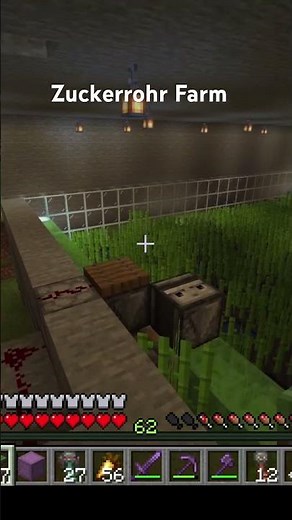 💎 Die PERFEKTE Zuckerrohrfarm in Minecraft! Unendlich Papier & Raketen! 🚀