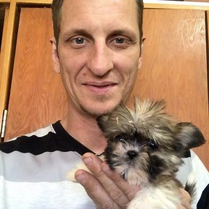 4.4K views · 207 reactions | Me Leo the teacup Shih Tzu. He is eight weeks and probably won't be more than about 6 pounds fully grown. #tecuppuppy | 1 Love Dog Rescue | Facebook