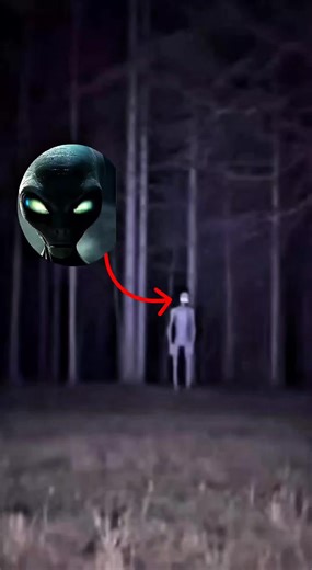 Caught on Camera: Alien Staring From the Trees 👽😨#AlienEncounter #NightHorror #CreepyFootage #ForestMystery #UnknownCreature