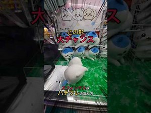 スフィンクスなハチワレの取り方#クレーンゲーム #ちいかわ #ufoキャッチャー #round1 #ハチワレ #スフィンクスなハチワレ