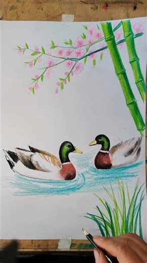 How to Draw a Duck with Pencil | Animal Drawing #go2goart #coloredpencils