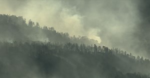2 more homes destroyed at Cold Springs Fire