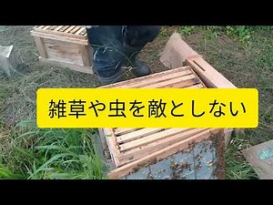 『養蜂』ミツバチとダニと自然農法