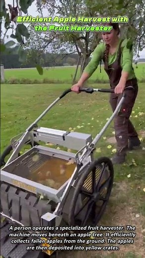 Efficient Apple Harvest with the Fruit Harvester