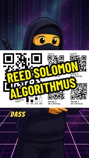 Reed-Solomon Algorithmen in der Informatik