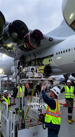 The Final Assembly Line Where Airplanes Come Together #aviationfacts #aviationgeek