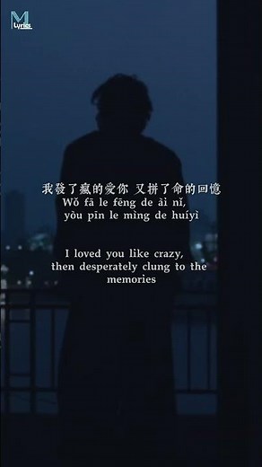 Lao Ban (老闆) - Wo Bu Gai Dong Qing (我不該動情) Lyrics #歌曲歌词 #lyrics #music #douyin