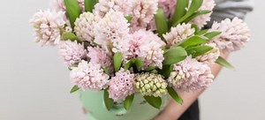 Cutting Hyacinth Flowers | DoItYourself.com