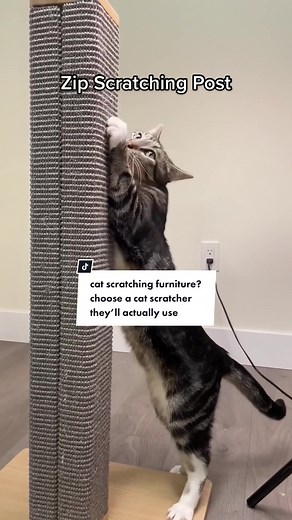 Why Cats Scratch: Understanding the Benefits of Cat Scratching Posts