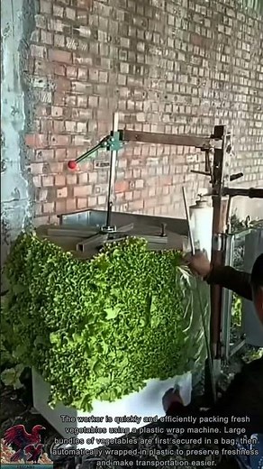 Ultra-Fast Vegetable Packing Machine || Smart Farming Innovation