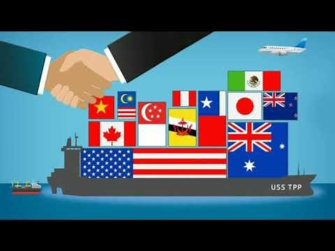La integración económica: ¿que es? ¿Cómo se da? Y ejemplos🇭🇳