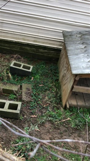 #share #fyp #dog #work #prank | great dane