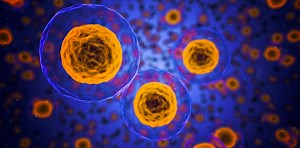 How Cells Use Messengers to Signal to One Another | Cell And Molecular Biology