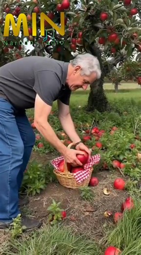 Prijatan vam dan želimo uz jednu lijepu notu.Narodni Radio. | Narodni Radio