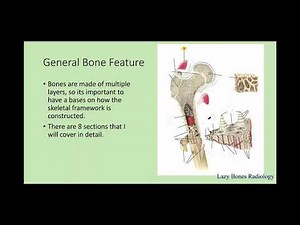 General bone features, classification, and bone markings episode 4 #LazyBonesRadiology
