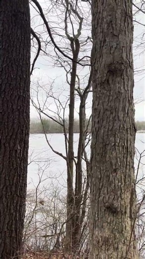 Breakheart | 03/21/2026