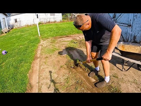 Amazing overgrown patio transformation: Satisfying concrete cleaning reveal!