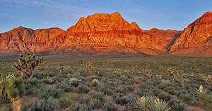 Mt. Wilson, Rainbow Mountain Wilderness, Nevada