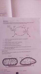 QUESTION 1 Honlework a MayThe flow diagram below shows two bio... | Filo