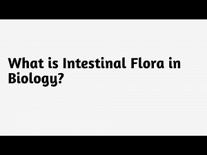 What is Intestinal Flora in Biology ?