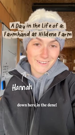 Hildene, The Lincoln Family Home | A day in the life of a farmhand at Hildene Farm 🐑🌾 Meet Hannah — our incredible farmhand whose care and dedication keep the dene thriving.... | Instagram