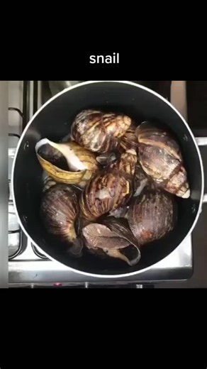 easy way to remove a snail from its shell. #beautiful #learnontiktok #food #cookinghacks #diy #nutridelight