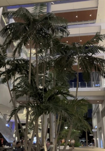 BacktoMiamiTravel on TikTok