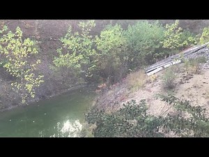 Boone Lake vegetation