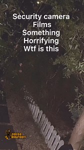51K views · 685 reactions | “Unknown Creature” A family hearing noises at night set up a surveillance camera and caught something that horrified them. What do you think it is? #boisebigfoot #cryptids #dogman #new #woods #foryou | Boise Bigfoot | Facebook