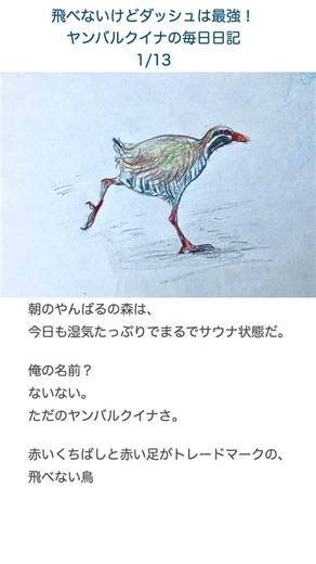 飛べないけどダッシュは最強！ ヤンバルクイナの毎日日記 1/13