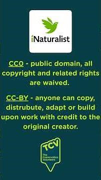 Licensing permissions and iNaturalist