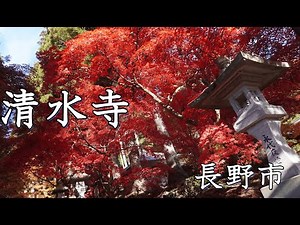 【長野の絶景】清水寺の紅葉が見頃!美しすぎる秋の絶景