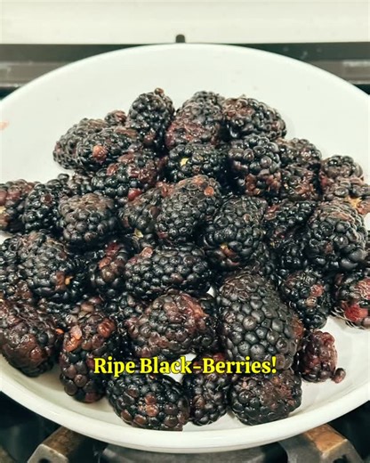 𝐇𝐀𝐏𝐏𝐈𝐍𝐄𝐒𝐒, 𝐂𝐇𝐔𝐑𝐍𝐄𝐃. 🍦✨ My kitchen has been a non-stop ice cream factory, and my heart is so full! The biggest reward? A voice note from a sweet kid who’s over the moon about getting to eat more of my ice cream! That’s the good stuff right there. ❤️ The trio of joy is here, and it’s EPIC: ➡️ 𝐁𝐋𝐀𝐂𝐊𝐁𝐄𝐑𝐑𝐘: Yes, blackberry in ice cream is a GAME CHANGER. It’s bold, fruity, and deserves a permanent spot in your freezer. ➡️ 𝐑𝐀𝐒𝐏𝐁𝐄𝐑𝐑𝐘 𝐂𝐑𝐄𝐀𝐌 𝐂𝐇𝐄𝐄𝐒𝐄: Cheeseca