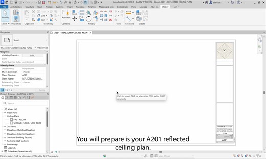 12 - Cabin - A201 REFLECTED CEILING PLAN.