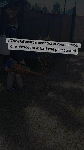 best of the best...for more info dm .....or contact us via 0.7.0.5.1.3.5.2 .0.5 #pestfreehome #cleanhomehappyhome #allpestcarecontrol #fumigationservices #cleanhomehappyhome