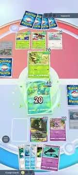 vs Bayleef (Sea and Sky)