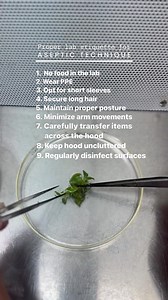 14 reactions | Aseptic technique is the bedrock of successful tissue...