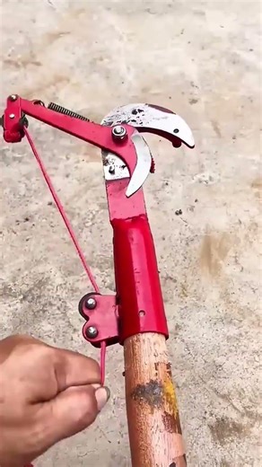 Handy Red Tool Designed For Easy Tree Branch Cutting